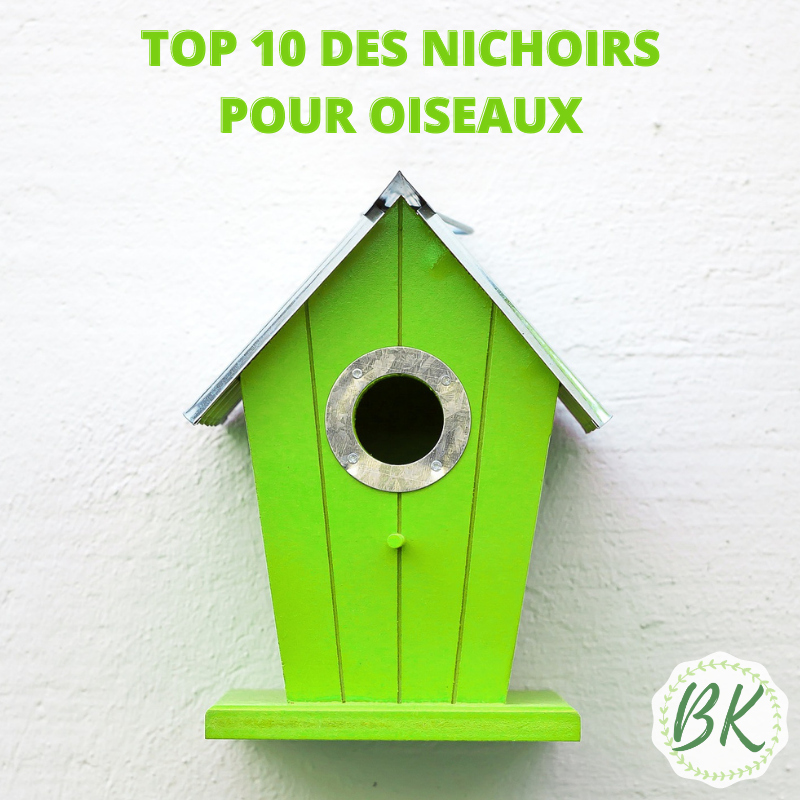 Nichoirs Oiseaux – BirdKeeper®