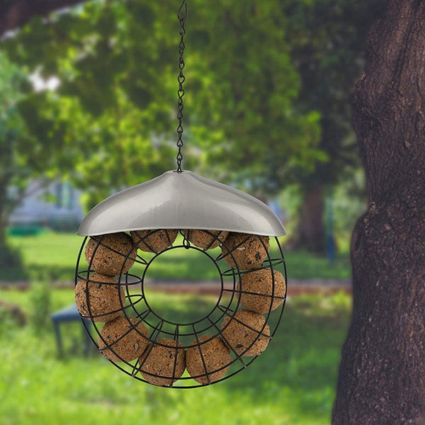 Mangeoire de jardin à oiseaux st helens transparente - en acrylique avec 2  ventouses puissantes gh353 - Conforama