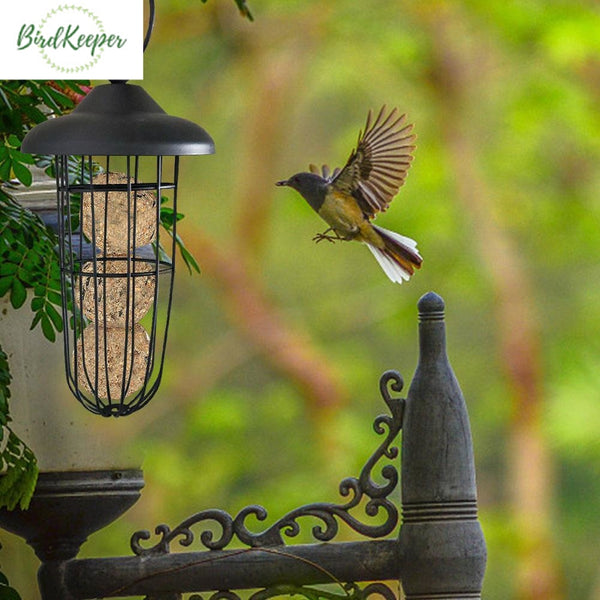 BPgoods® - Countryside Bird Feeder - Mangeoire pour oiseaux - Suspendu -  Jaune-Vert 